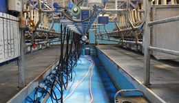 Milking parlour considerations when reducing milk production  